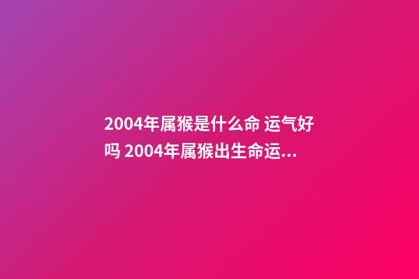 2004年属猴是什么命 运气好吗 2004年属猴出生命运如何-第1张-观点-玄机派